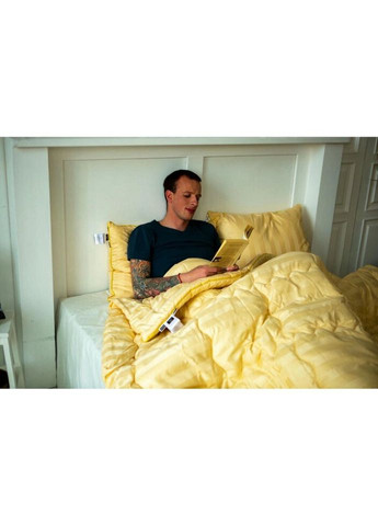 Одеяло Carmela Hand Made №655 Деми с эвкалиптом 110х140 (2200000857057) Mirson (314715800)