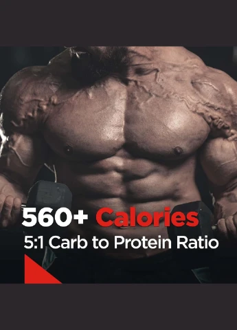 Гейнер Mass Gainer (1/5 Serving) 65 г, Chocolate Fudge Rule One (311281664)