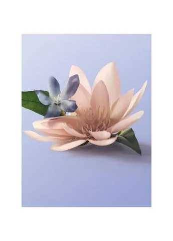 Парфумований спрей для тіла та волосся Blue Jasmine Water Lily Hair & Body Mist 75 мл Victoria's Secret (392668400)