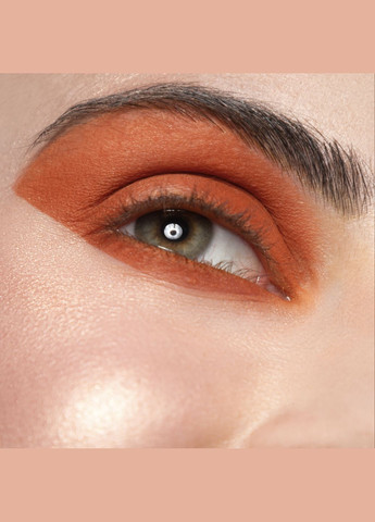 Тени Basic 115 - Кирпичный, 2г PROVG (302227825)