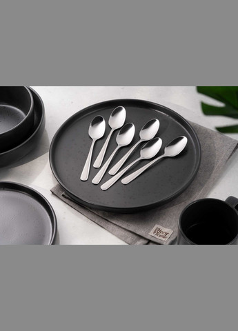 Набор чайных ложек Black Mars Zenith 6 пр. AR0706ZT Ardesto (306514711)