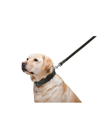 Повідець "" подвійний з прошивкою (ширина 20мм, довжина 122см) чорний Collar (322642531)