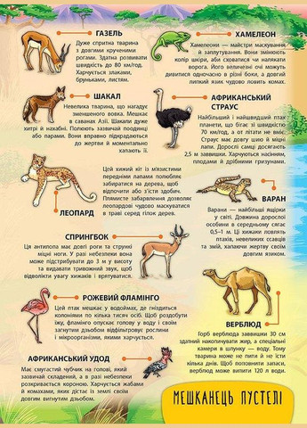 Энциклопедия с наклейками. Животные мира УЛА (316125487)