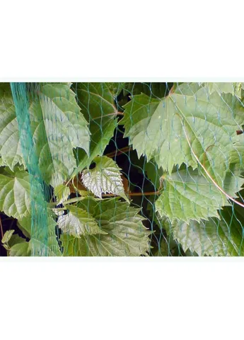 Сітка для захисту від птахів BIRD NET 10 г/м² 4x5 м Bradas AS-BN10191940005 (385677459)