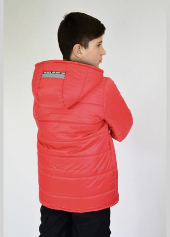 Комбинированная демисезонная двухсторонняя курточка для мальчика Polin Line