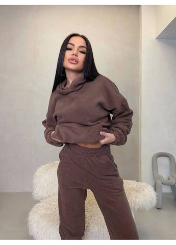 Жіночий костюм із двостороннього флісу (худі + джогери) No Brand (363262512)