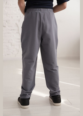 Серые повседневный демисезонные брюки GABBI