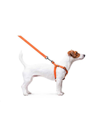 Шлея для собак водостійка Waterproof Металева пряжка-фастекс Ш 15 мм Дл 40-55 см WAUDOG (292175110)