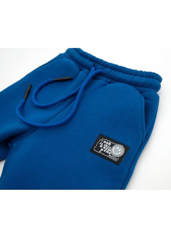 Синие демисезонные брюки Cloise