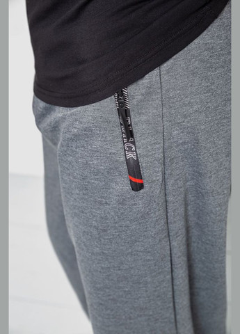 Серые спортивные демисезонные брюки Ager