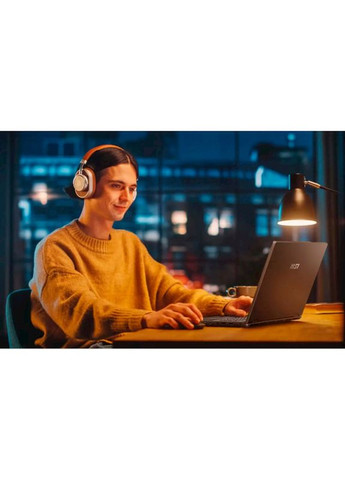 Ноутбук Venture 14 AI A1MG-031XUA Solid Gray (9S7-14Q221-031) MSI (335808492)