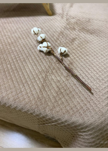 Покрывало Soty велюр евро 200х220 см Капучино No Brand (316714561)