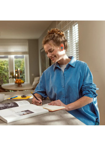 Беруши Alpine Hearing Protection (369550455)