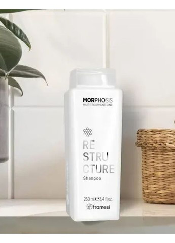 Реконструирующий шампунь Morphosis Restructure Shampoo 250 мл Framesi (361072245)