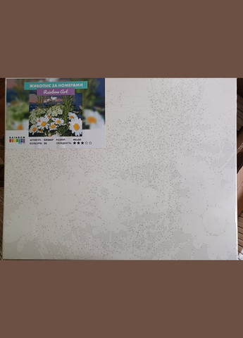 Картина за номерами Ромашки 40*50см Розфарбування по номерах GX8807 Rainbow Art (308987641)
