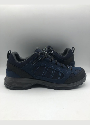 Синие трекинговые кроссовки cosmic jab run 29 Lytos