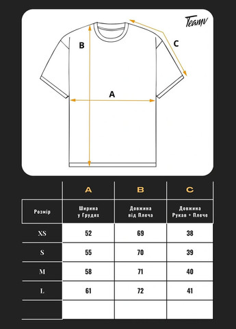Жіноча футболка оверсайз із бавовни з принтом MALIBU BEACH Сіра Teamv - (337115787)