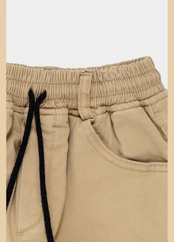 Бежевые зимние брюки Ridayen