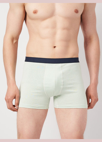 Труси (3шт) Basic Collection (295079683)