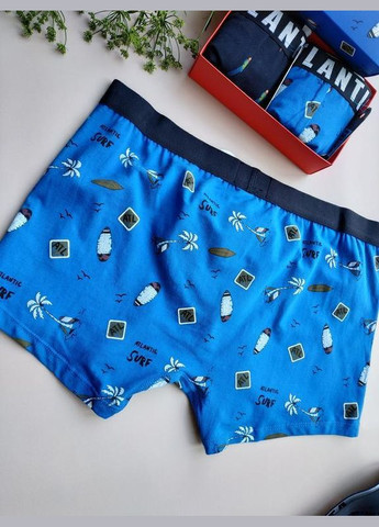 Набор мужских трусов боксерок из двух штук 003 атлантик Atlantic (368787628)