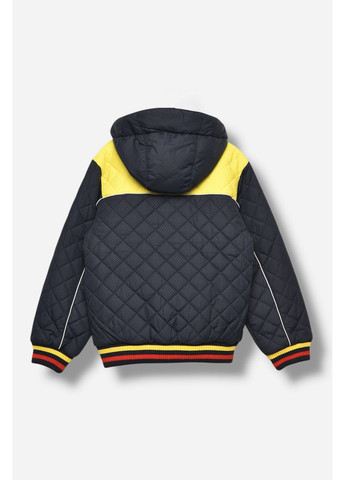 Синяя демисезонная куртка детская для мальчика демисезонная синего цвета Let's Shop