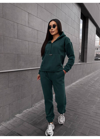 Женский теплый костюм с капюшоном. No Brand (364550238)