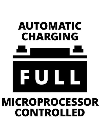 Пуско-зарядний пристрій CE-BC 30 M, 12/24 В, 3-600 А/г, макс. 30 А Einhell (314977978)