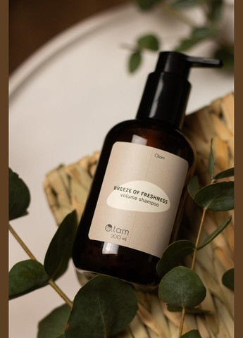 Шампунь для об'єму "Breeze of Freshness" 200 мл O.tam (314920087)