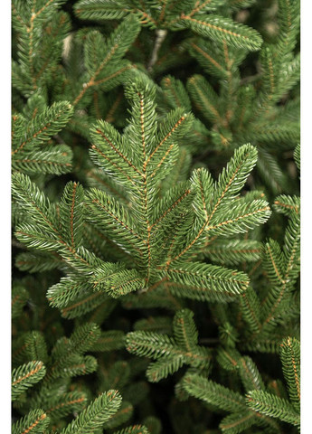 Елка литаяя SG "Венская" Зеленая 2,50 м Siga Group (366964324)