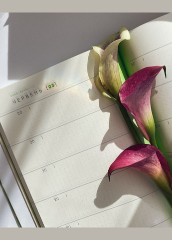 Щоденник На 5 років Один день - двома словами Білий Недатований Один.Нуль 5-річний щоденник (305776543)