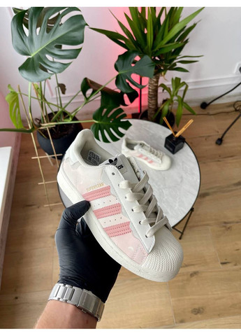 Кросівки жіночі Adidas Superstar Cappuccino Pink | Адідас Суперстар кремові No Brand кремові демісезони (360535090)