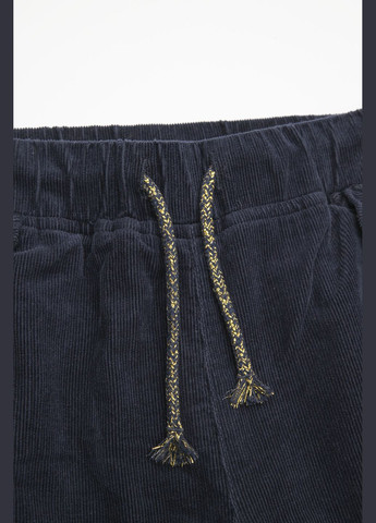 Синие зимние брюки Coccodrillo