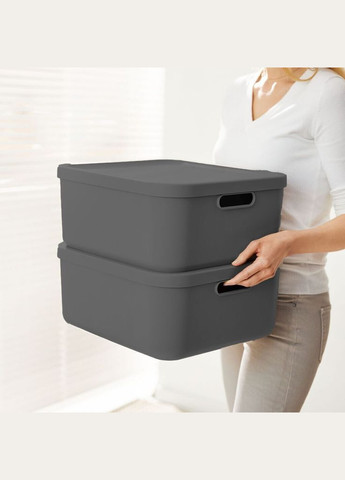 Контейнер для зберігання речей з кришкою Albula 20 л (10557) Rotho (334007169)