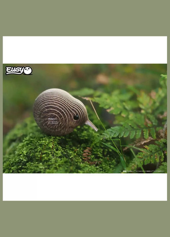 Сборная 3D модель Зоопарк Киви (XEG-001) Eugy (333251912)