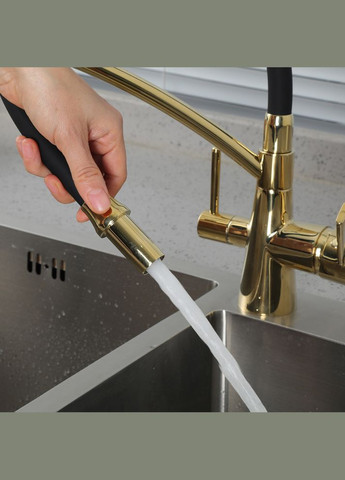 Змішувач для кухні з підключенням фільтра питної води G439813, гнучкий вилив, золото/чорний GAPPO (278258976)