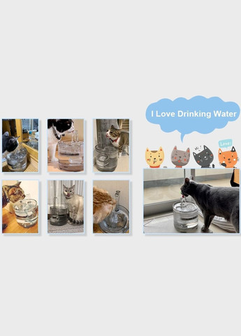 Питьевой фонтан для кошек и собак WF050 1.5L, поилка для кота и собак с фильтром Прозрачный NPET (299915573)