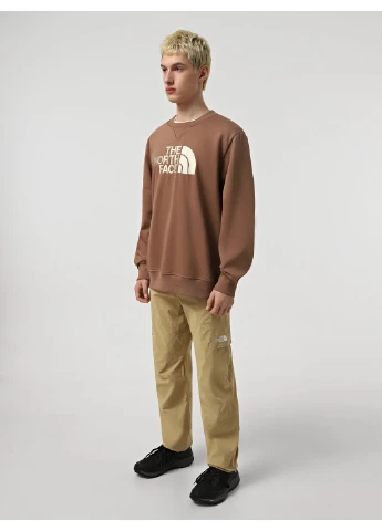 Свитшот 8790280 Мокко N6718 The North Face (391724643)