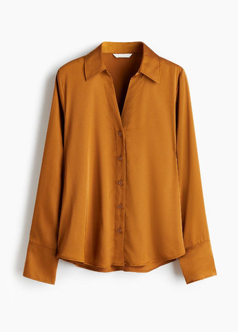 Горчичная блуза H&M