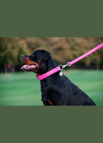 Поводок для собак кожаный Glamour, Ш 25 мм, Дл 122 см розовый WAUDOG (322125023)