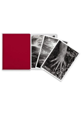 Книга Sebastiao Salgado. GENESIS. Postcard Set (9783836548014) Taschen (364656290)