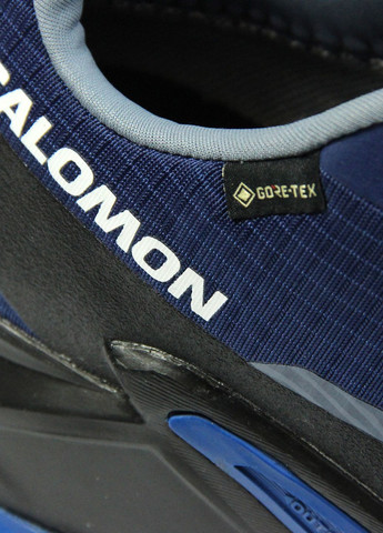 Синие демисезонные мужские кроссовки alphacross 5 gtx 473092 Salomon