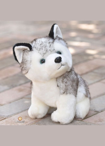 М'яка іграшка Песик Хаскі 20 см (NR0098) No Brand (305772148)