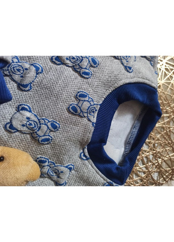 Сіро-синій демісезонний костюм для хлопчика з ведмедиками та знімною іграшкою 🧸 брючний No Brand костюм