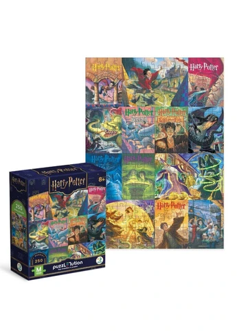 Пазл классический "Harry Potter Книжные обложки" 200657, 250 элементов DoDo Toys (377992368)