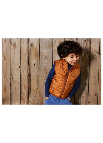 Жилетка для хлопчика Lupilu (317694813)