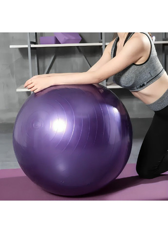 М'яч фітбол для фітнесу вправ йоги пілатесу з максимальним навантаженням до 200 кг діаметр 60 см (480517-Prob) Фіолетовий Unbranded (336592800)