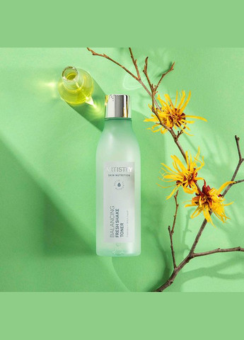 Artistry Skin Nutrition Освіжаючий тонік з ефектом матування Амвей Amway (334712366)
