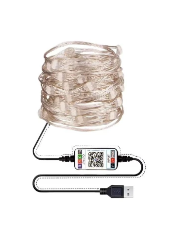 Світлодіодна гірлянда Meiq-IT 100 LED RGB 10м USB Bluetooth управління з телефону (3_05635) No Brand (395881812)