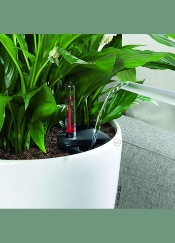 Вазон Classico 60, чорний (A-014471) Lechuza (317268838)