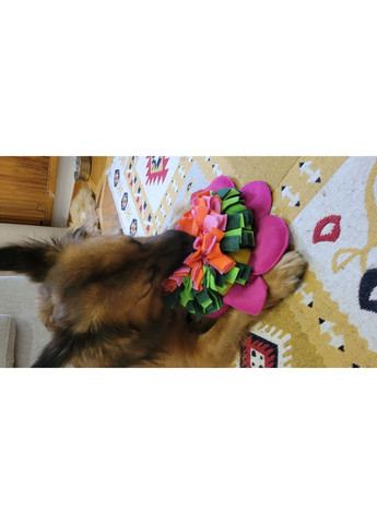 М'яка розвиваюча іграшка для собак No Brand (361425654)